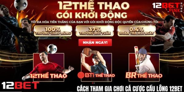 Cách tham gia chơi cá cược cầu lông 12Bet