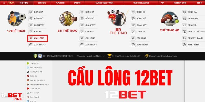 Sơ lược cầu lông 12Bet