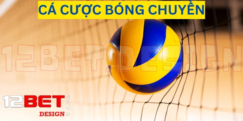 Tìm hiểu bóng chuyền 12bet 